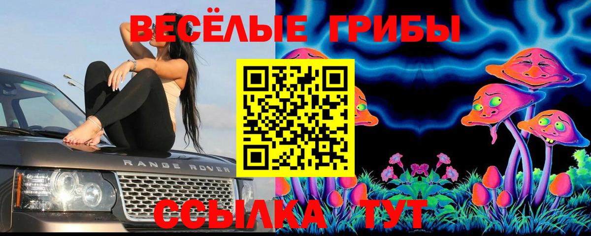 Псилоцибиновые грибы прущие грибы Кашира