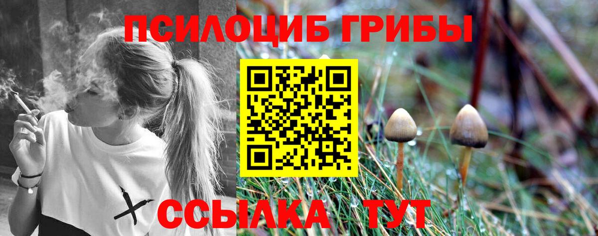 Кашира  наркотики  Вход с VPN  Псилоцибиновые грибы Magic Shrooms 
